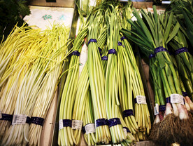 蒜苔 蒜黄 蒜苗