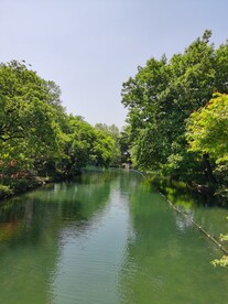 西湖美景