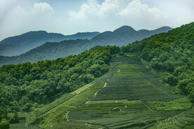 美丽的大山风景