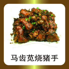 马齿苋烧猪手