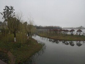 松雅湖一角