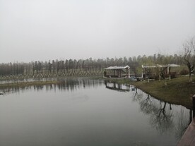 松雅湖一角