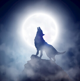 明月下嚎叫的孤狼