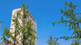 清新自然城市