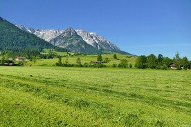 草原风景
