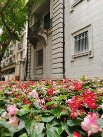 花园式建筑