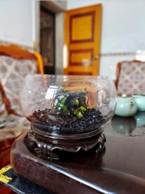 造景鱼缸