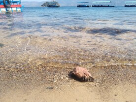 沙滩