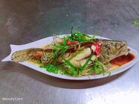 桂鱼
