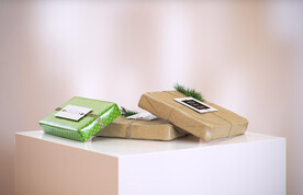 礼物盒子模型 圣诞节礼物