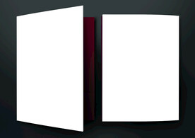 折页样机
