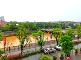 雨后的河道风景
