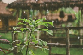 下雨             