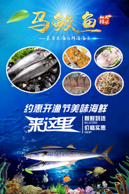 马鲛鱼海报图片