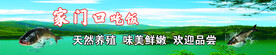 水库 自然 健康 鱼 宣传