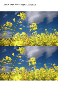 油菜花风景视频