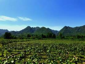 蓝天下的乡村美景