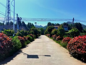 蓝天下的乡村美景