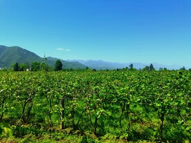 蓝天下的乡村美景