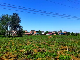 美丽的乡村风景