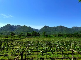 蓝天下的大山风景