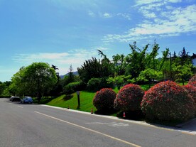 空荡荡的乡村道路