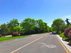 空荡荡的乡村道路