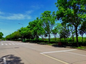 蓝天下的乡村美景