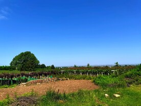 蓝天下的乡村美景