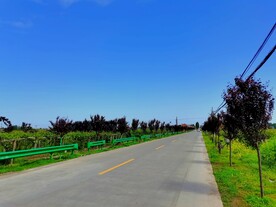空荡荡的乡村道路