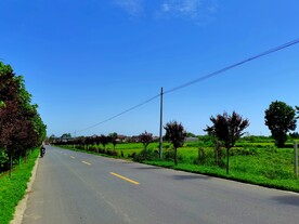 空荡荡的乡村道路