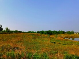 蓝天下的乡村风景