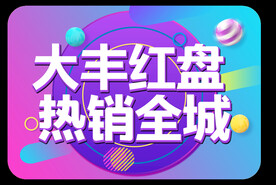 活动背景