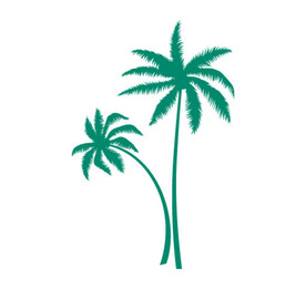 椰树