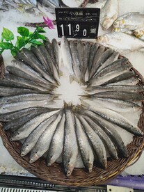 池蛋鱼