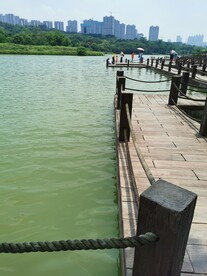 湖景廊桥