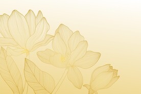 背景模板 展板背景      