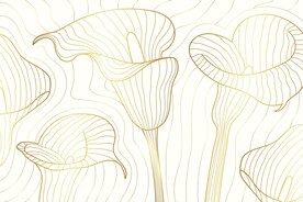 背景模板 展板背景      