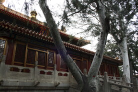 故宫 紫禁城  北京 建筑园林