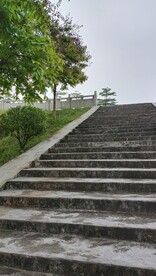 步梯
