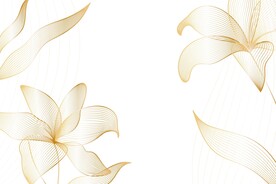 背景模板 展板背景      