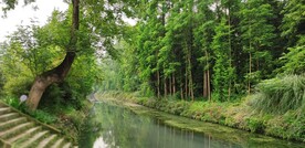 崇州观胜严家湾湿地公园