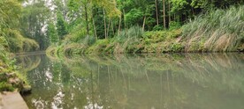 崇州观胜镇严家湾湿地