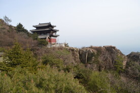 山东泰山
