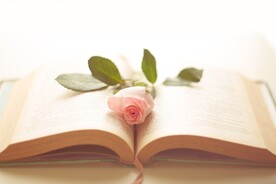 小清新玫瑰书本图片