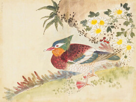 余曾三国画 百花鸟图