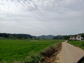 乡村小路 