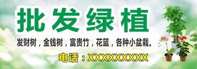 批发绿植 门头