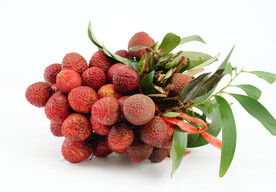 新鲜荔枝摄影图