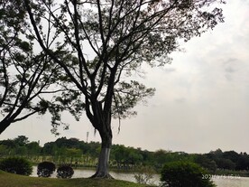 自然景色